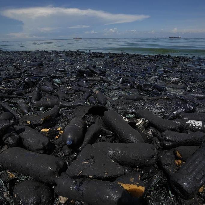 Pollution in Venezuela's Lake Maracaibo threatens life in one of the world's oldest lakes